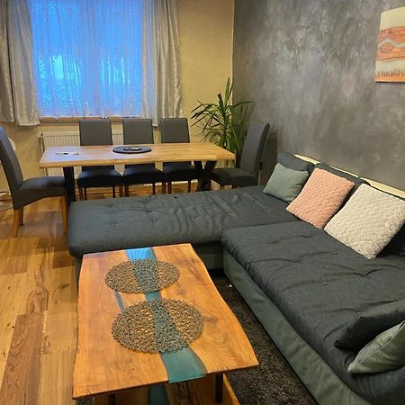 Apartman Orlicke Hory Orlicke Zahori Εξωτερικό φωτογραφία