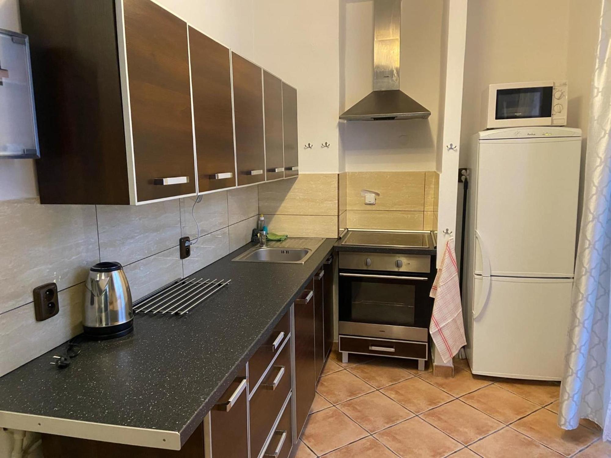 Apartman Orlicke Hory Orlicke Zahori Εξωτερικό φωτογραφία